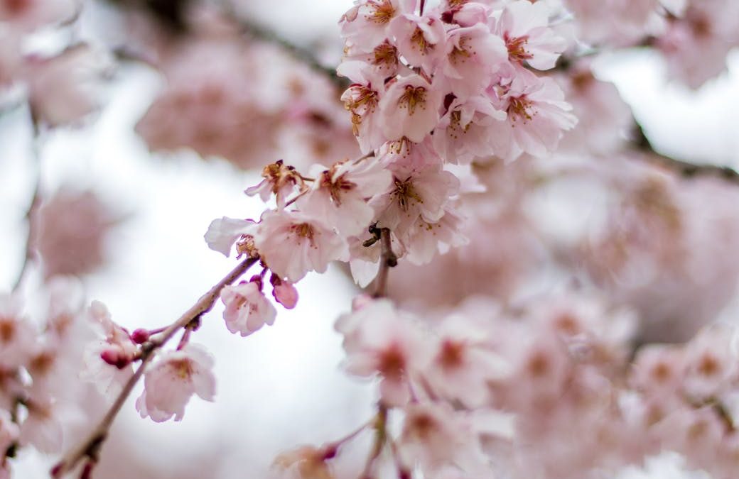 How to Harness Spring Energy to Support Your Fertility